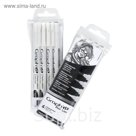 Ручка кисть капиллярная набор GRAPH'IT Brush 4цв серый/черный