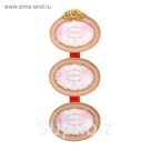 Фоторамка на 3 фото "Розы. Винтаж" 10х15 см