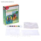 Фоторамка "Попугайчики и черепашка"