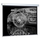 Экран CACTUS CS PSW 206X274