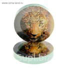 Полотенце прессованное Collorista "Гепард", размер 28х28 см, цвет микс