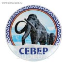 Магнит закатной "Север"