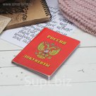 Обложка для документов, набор, цвет красный