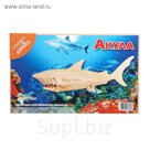 Конструктор "Акула"
