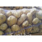 Продаем ПРОДОВОЛЬСТВЕННЫЙ и СЕМЕННОЙ картофель. Любые объемы.
