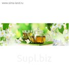 Фартук ХДФ Жасмин 695х2070х3 мм
