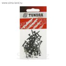 Саморезы по ГВЛ TUNDRA krep, 3.9х19 мм, 50 шт.