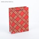 Пакет крафт "Красная клетка", 16 х 6 х 21 см