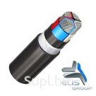 Кабель АПВБШП АПВБбШП 4х240