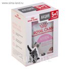 Акция! RC Kitten Instinctive для котят, в соусе, пауч, 6х85 г