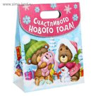 Пакет с клапаном "Мишки" ML