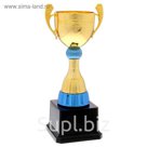 Кубок спортивный 091