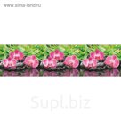 Фартук ХДФ № 434 "Орхидеи" 2440х600х3 мм