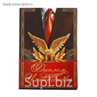 Диплом «Именинника»