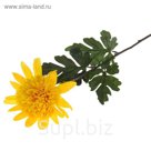 Цветок искусственный "Астра Персидская" 10*75 см, жёлтая