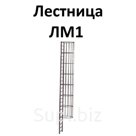 Лестницы стальные настенные (с выходом на кровлю)
