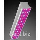 Светодиодная фитолампа LED СКУ01 “Fito” 100w