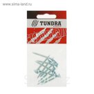 Саморезы универсальные TUNDRA krep, 5х40 мм, цинк, потай, 10 шт.
