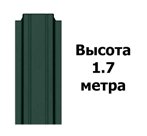 Штакетник RAL 6005 (Узкий) 1.70 м.