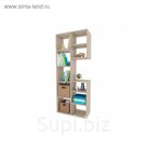 Стеллаж "Рикс-2", цвет дуб сонома