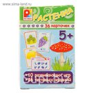 Настольная игра "Игры с карточками: Растения"