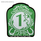 Магнит зеркальный "Счастливый рубль"