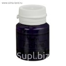 Краска акриловая Shine 20 мл WizzArt Фиолетовый глянцевый WG18.20