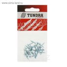 Саморезы универсальные TUNDRA krep, 4х16 мм, цинк, потай, 25 шт.