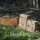 Упаковка из кедра для производителей фитопродукции | kedrsuvenir.ru | 8 (923) 800 08 83