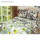 Постельное бельё 2 сп., Артпостель Премиум Мягкий сон 175*217см, 200*220 см, 70*70 см 2 шт.