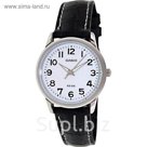 Часы наручные женские CASIO LTP-1303PL-7B