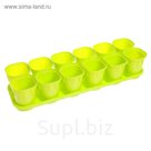 Набор для рассады: стаканы - 12 шт. по 200 мл, поддон 42 х 14 см, зелёный