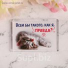 Магнит "Всем бы такого как я"