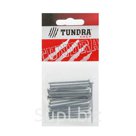Гвоздь строительный TUNDRA krep 2 5х50 мм оцинкованный в упаковке 20 шт