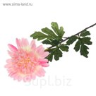 Цветок искусственный "Астра Персидская" 10*75 см, розовая