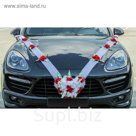 Комплект украшений на капот автомобиля