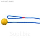 Мяч на веревке Trixie, 100 см, Ф 5 см.