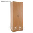 Шкаф распашной 2-х створчатый 2 Александра 810х500х2100 Бук бавария