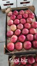 Яблоки Оптом (более 4000тонн)