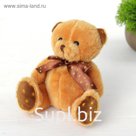 Мягкая игрушка «Медведь», цвета МИКС