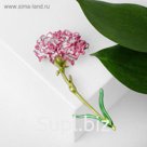 Брошь "Цветок" гортензия, цветная в золоте