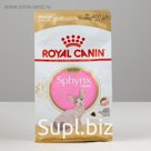 Сухой корм RC Sphynx Kitten для котят, 0.4 кг