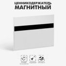 Ценникодержатель магнитный 100×60, прозрачный