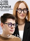 Очки для компьютера «Круглые», линза 6.1×5.2 см