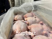 Тушка цыпленка бройлера