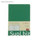 Ежедневник недатированный А5, 160 листов, Bruno Visconti CITIZEN зеленый, цветной срез