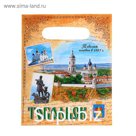 Пакет подарочный «Тобольск»