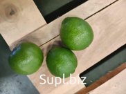 Лайм  Бразилия