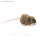 Мягкая игрушка «Крыса» бурая, 12 см