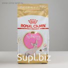 Сухой корм RC Sphynx Kitten для котят, 2 кг